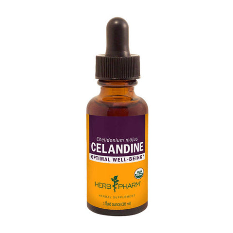 Herb Pharm, Organic Celandine Liquid Extract, 1 Oz Herb Pharm