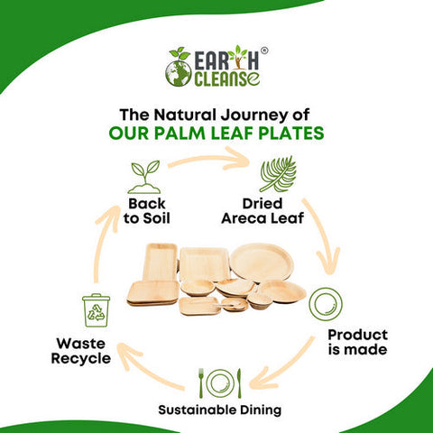 Earth Cleanse, Areca Palm Leaf Bowls Round 6-Inch, Pack of 500 Earth Cleanse
