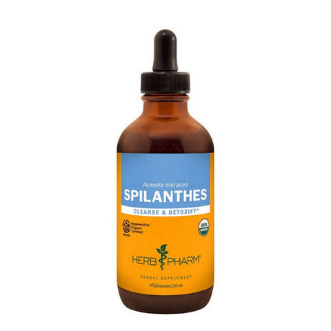 Herb Pharm, Spilanthes, 4 oz Herb Pharm